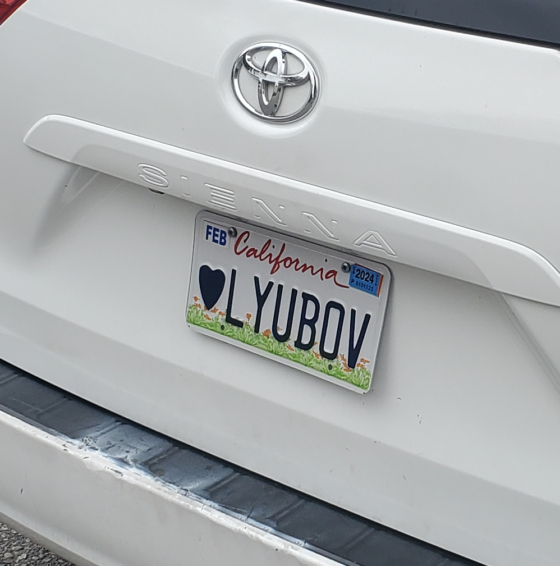 ♥lyubov license plate