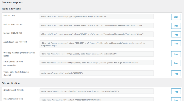screenshot of common html snippets to copy and paste into box including favicon and google search console tags
