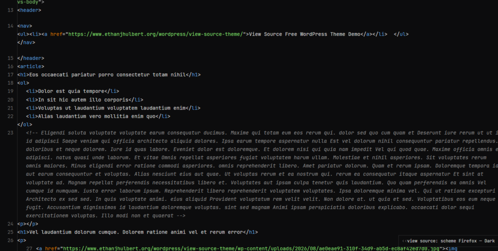 firefox view source code developer screen wordpress frontend